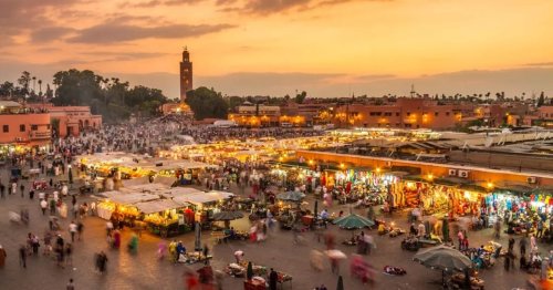 In Morocco, Discovering the Joys of ‘Blind Architecture’ and All Those Cats