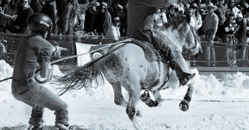 What Is Skijoring? The Wild Western Winter Sport You've Got to See
