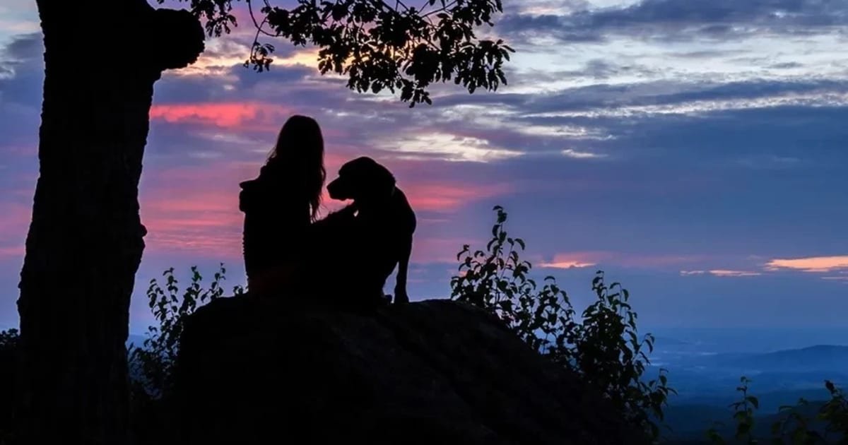 Going to the Dogs: Canine-Centric Travel Planning - cover