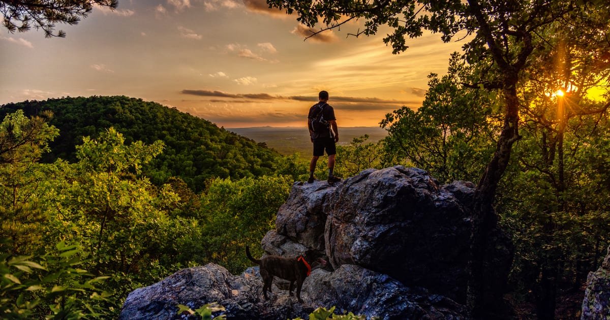 Travel in 2026: Where to Go, What to Know - cover