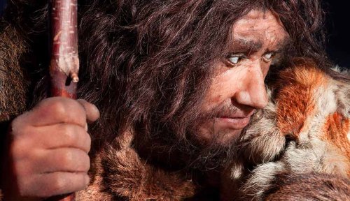 Neanderthals becoming more modern with time
