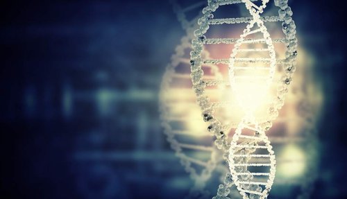 Do mutations add information and is that evolution?