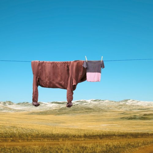 Photographs by Helga Stentzel of clothes on a washing line transformed into charming animals