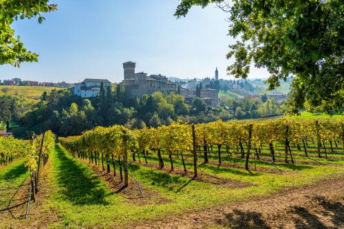 Agritourism and the wines of Romagna