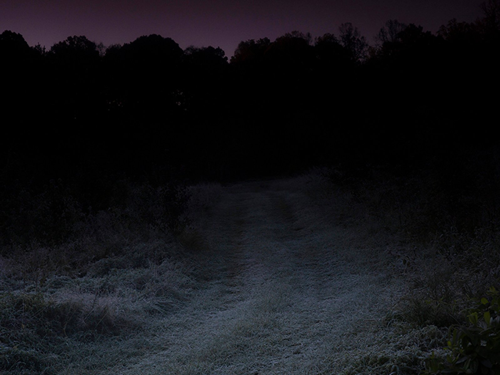 Pseudo Night - Meg Roussos