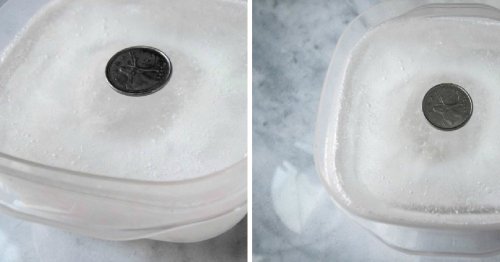 Homeowners are Putting a Coin in the Freezer This Year for Storm Season and Here’s Why It’s Such a Smart Idea