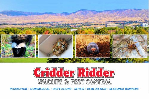 Cridder Ridder- Boise Animal Removal & Wildlife Control | Meridian, ID