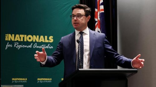 Nationals call for local government vote