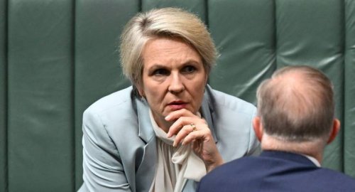 ‘Never trust or vote Labor again’: Plibersek, do the right thing or face voters’ wrath