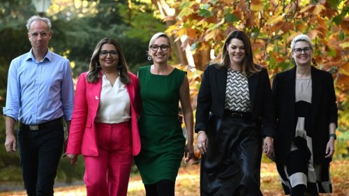 The Greens must radicalise, or perish