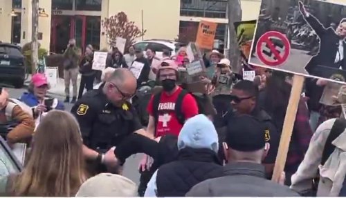 Watch This Granny Take Down A Trump Fan At Peaceful Tesla Protest