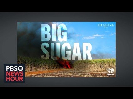 Lawsuits Charge Illegal Price-Fixing In The Sugar Industry