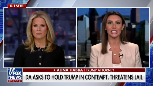 Alina Habba Makes Bizarre Comparison To Trump