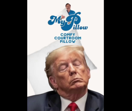 Introducing The New Comfy Courtroom Pillow From MyPillow