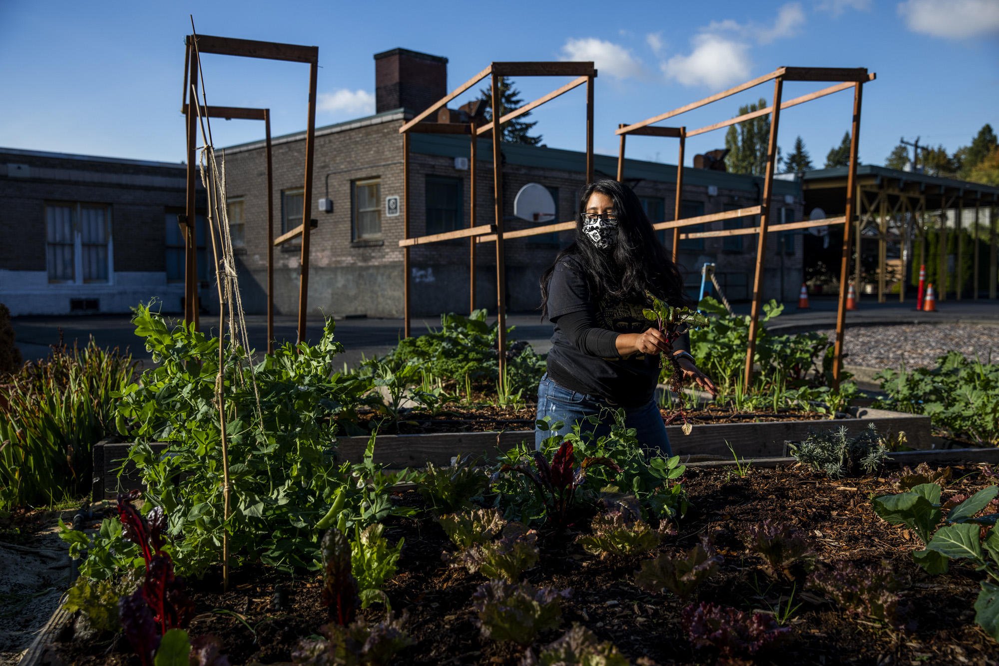 CHOP made urban gardening radical. The pandemic made it essential