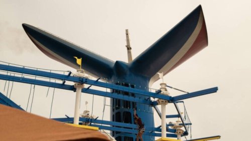 Cruise Guest’s Bold Gender Reveal Plan Involving Ship Funnel Gets Denied