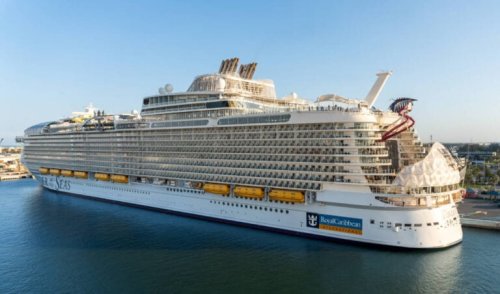 Miscommunication Leads Family to Miss Cruise – Who Is at Fault?