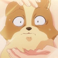 Ecchi-Anime My Life as Inukai-san’s Dog. enthüllt ersten Trailer und Starttermin