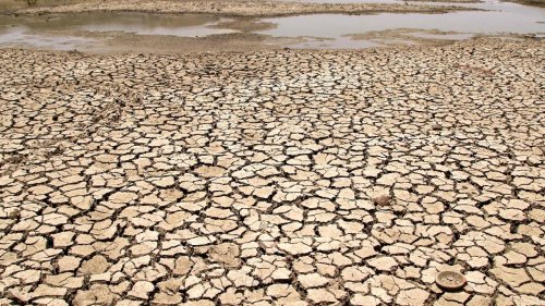 Zimbabwe bishops sound alarm over El Niño-related droughts