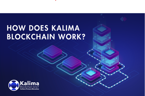 Kalima – A new way to collect, protect and monetize data using Blockchain for IoT | Cryptopolitan