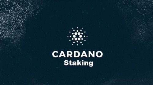 Cardano Staking: What are the benefits? | Cryptopolitan