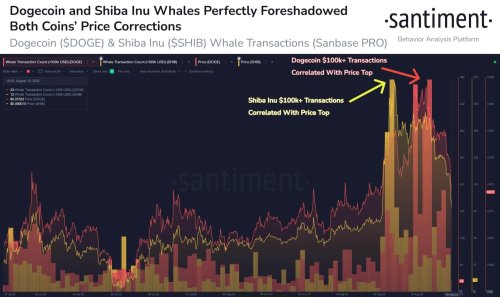 How Dogecoin, Shiba Inu whales “perfectly foreshadowed” the current dump