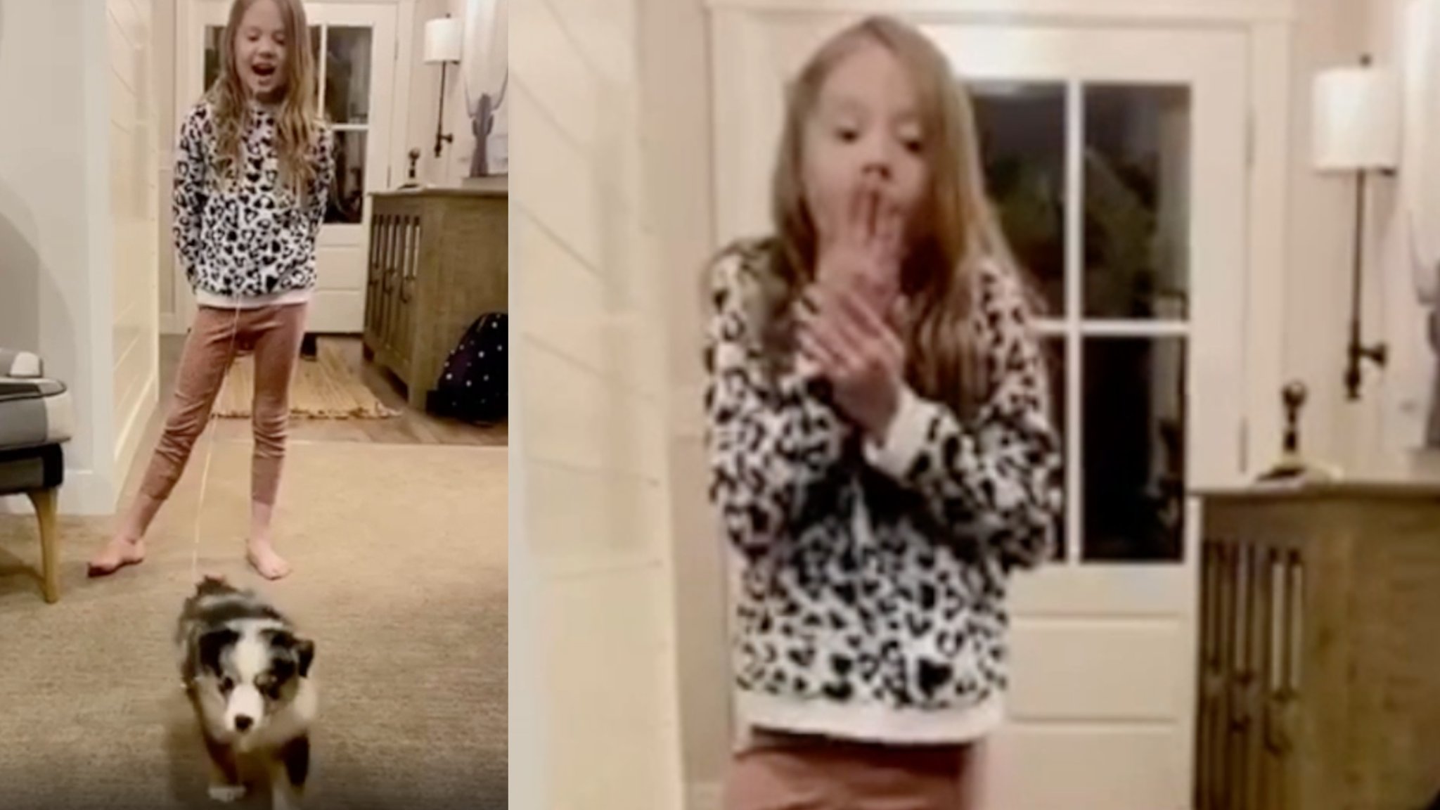 Mom Gets Girl’s New Puppy BFF To Yank Out Her Tooth & It’s the Ultimate Parenting Hack