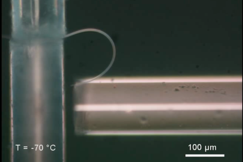 Scientists Created Bendable Ice (and It’s Super Cool)