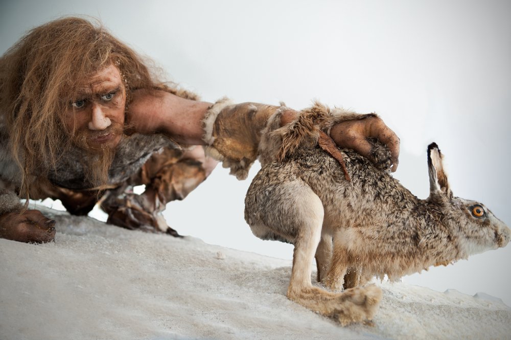 The Fascinating World of Neanderthal Diet, Language and Other Behaviors