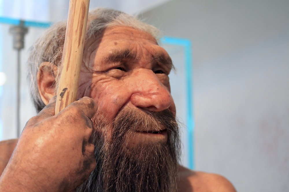 What Exactly Happened to The Neanderthals and Why Did They Go Extinct?