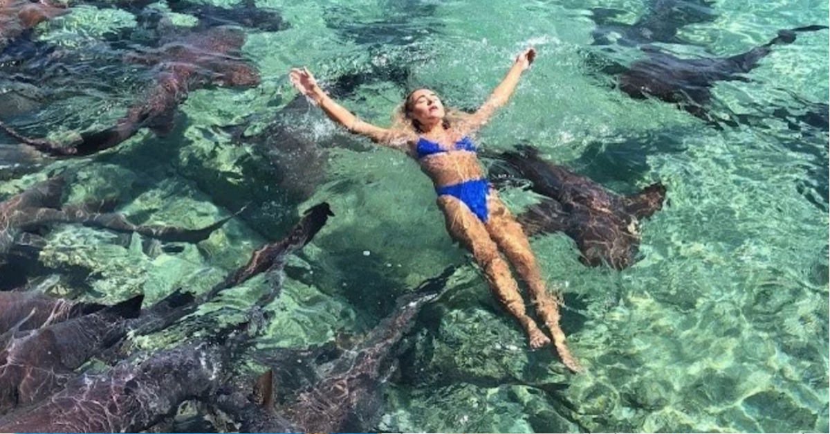 Model Posing For Photo Doesn't Think She's In Danger Until Shark Swims Up And Bites her