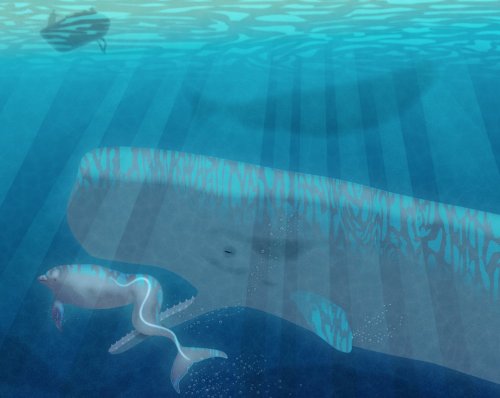 Why Did These Sperm Whales Adopt a Disfigured Dolphin?