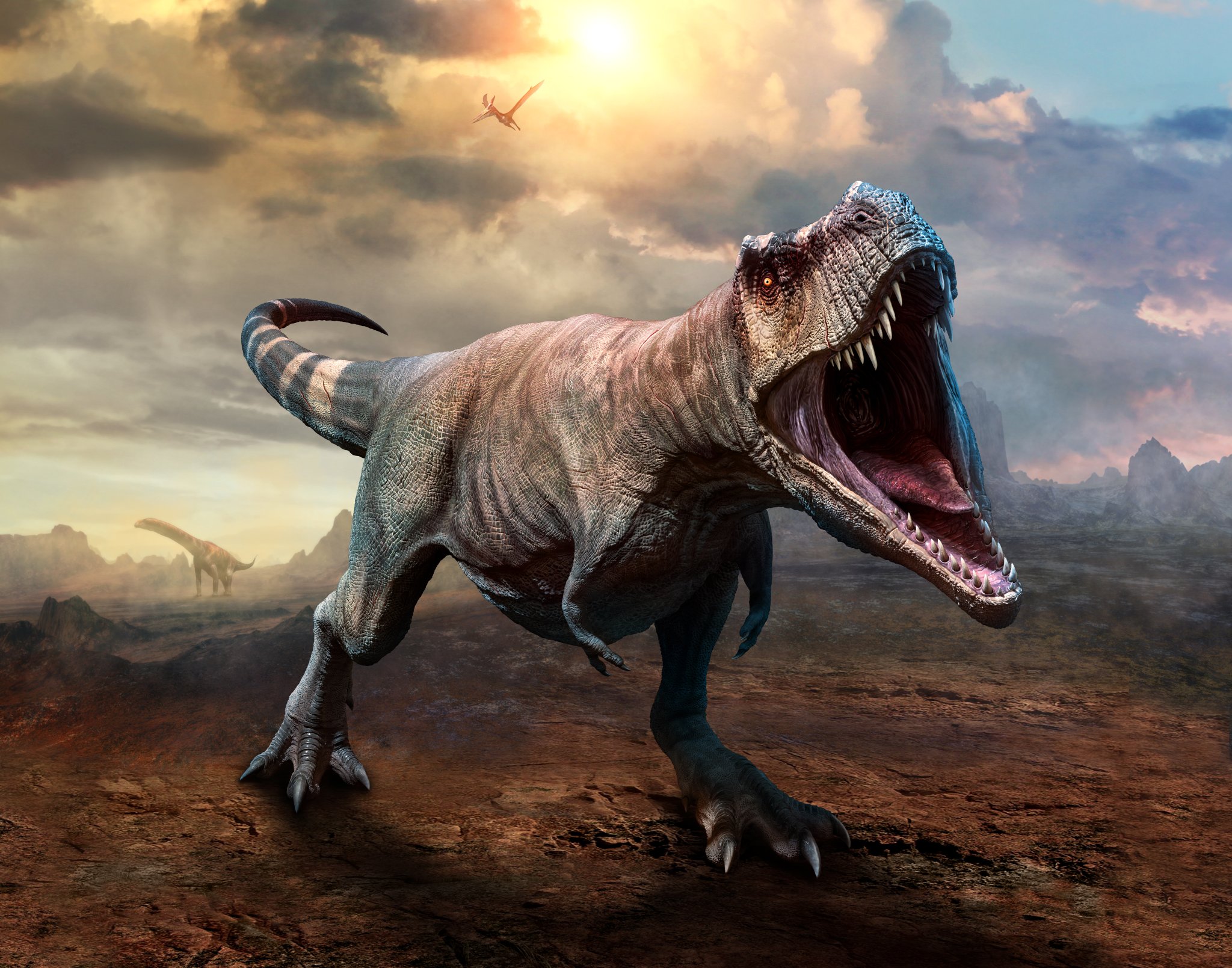 Dino Characteristics - cover