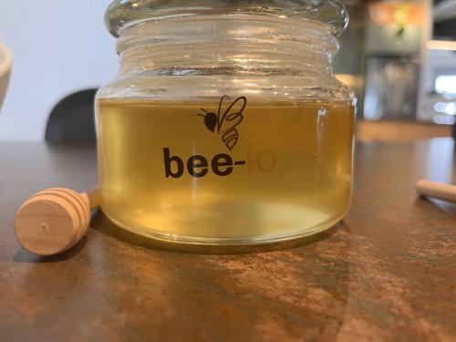 Only Israel could create honey without bees