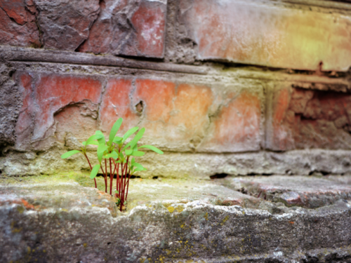 Seven Questions That Guide the Work of Inspired Teachers - ASCD