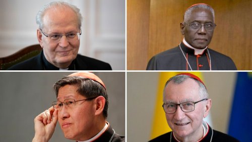 Who are the contenders to succeed Pope Francis?