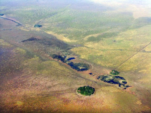 10,800 Years Ago, Early Humans Planted Forest Islands in Amazonia's Grasslands