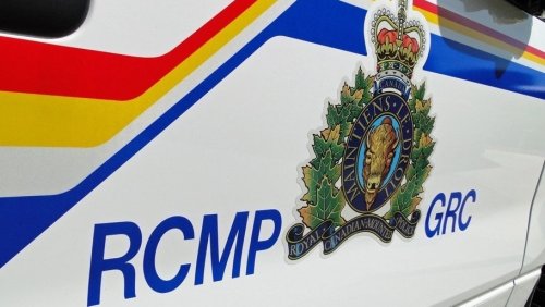 Reports of armed man on Sask. First Nation leads to 1 arrest, gun seized