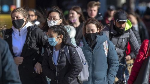 N.S. doctors warn against COVID-19 stigma, say 'othering' people makes pandemic worse
