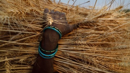 India's deepening water crisis at the heart of farm protests