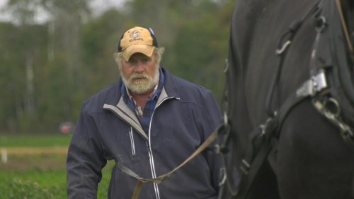 This plowing match competitor has attended more than 30 events