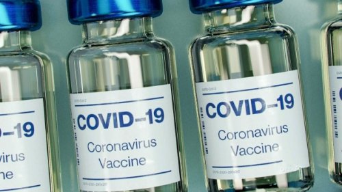 Quebec company making plant-based COVID-19 vaccine candidate here at home