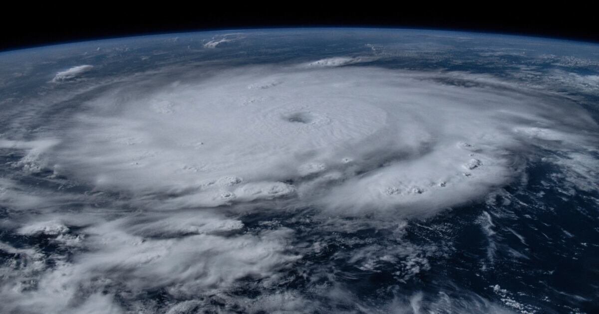 'It could have been so much worse': Former Fredericton woman provides insight to Hurricane Beryl on Cayman Islands