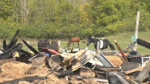 50-year-old horse farm in Smiths Falls, Ont. destroyed by fire