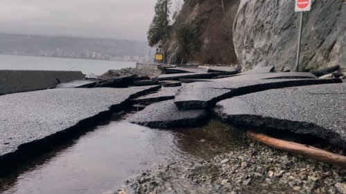 Expert says Vancouver storm damage a climate change 'wake-up call'