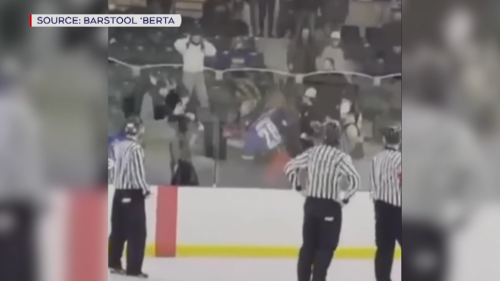 Brawl between player, fan erupts in the stands at Alta. junior game after mom pushed: coach