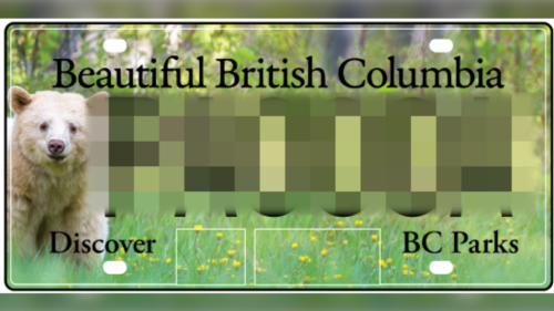 BONDVLN? YOMAMA? B.C. officials shot down these personalized licence plate numbers
