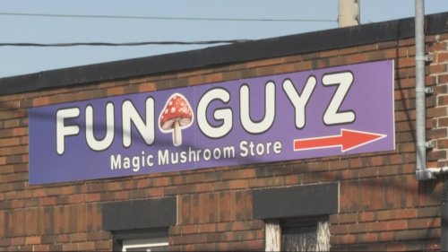 Kitchener psilocybin shop reopens after two police raids in one week