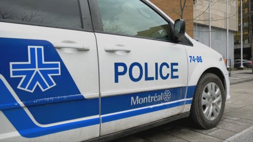 20 guns, nearly 100 kg of cocaine, $100K in cash: Montreal police make 'major' drug bust