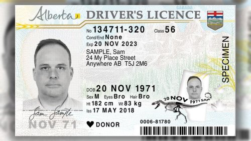 Alberta allows online driver's licence and ID card renewals